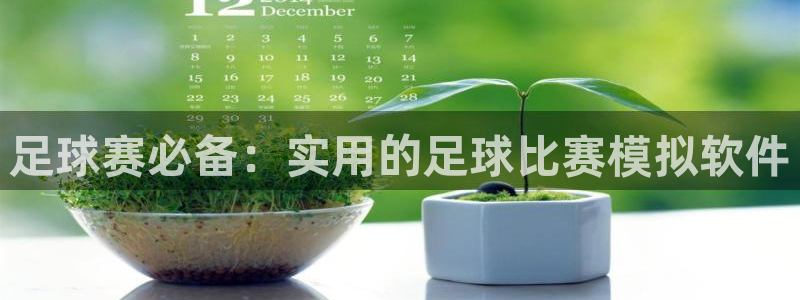 足球赛必备：实用的足球比赛模拟软件