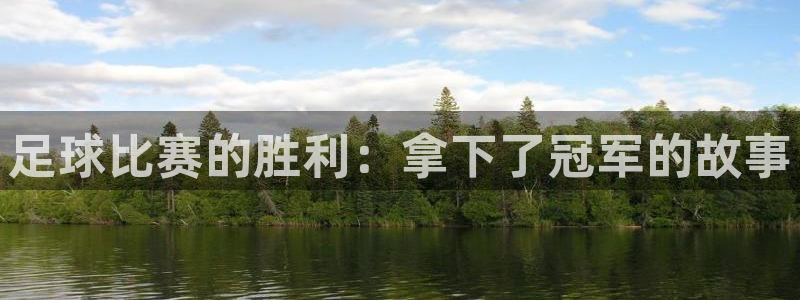 足球比赛的胜利：拿下了冠军的故事