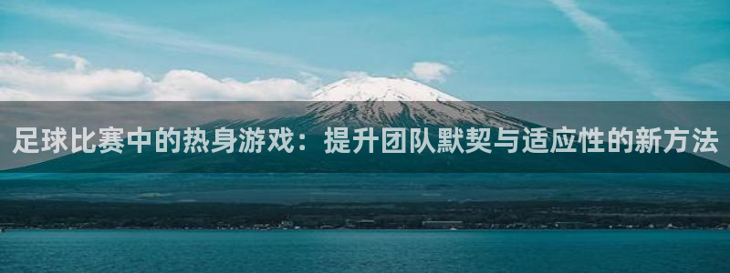  足球比赛中的热身游戏：提升团队默契与适应性的新方法