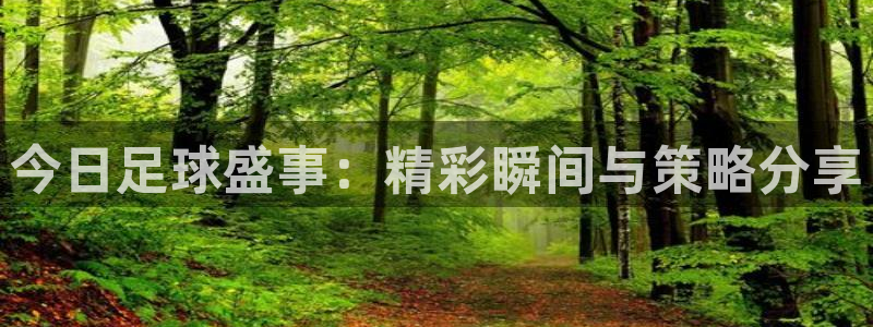 今日足球盛事：精彩瞬间与策略分享
