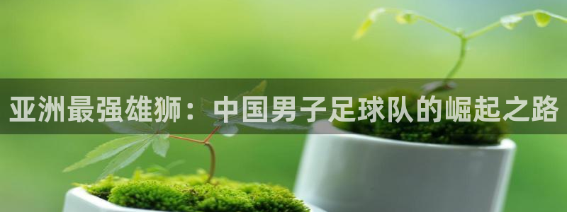  亚洲最强雄狮：中国男子足球队的崛起之路