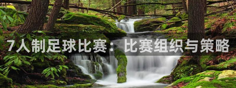  7人制足球比赛：比赛组织与策略