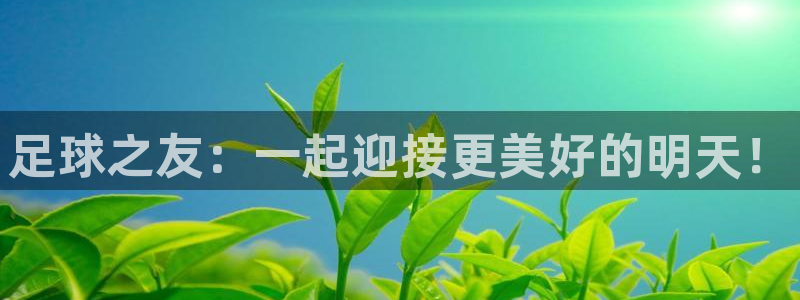 足球之友：一起迎接更美好的明天！