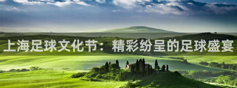  上海足球文化节：精彩纷呈的足球盛宴