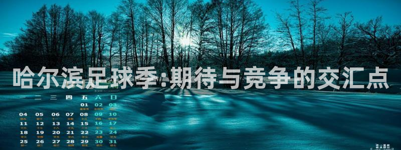  哈尔滨足球季:期待与竞争的交汇点