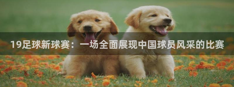  19足球新球赛：一场全面展现中国球员风采的比赛
