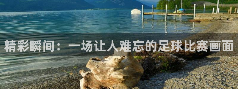 精彩瞬间：一场让人难忘的足球比赛画面