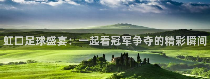 虹口足球盛宴：一起看冠军争夺的精彩瞬间