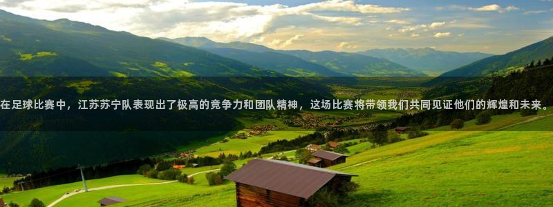 在足球比赛中，江苏苏宁队表现出了极高的竞争力和团队精神，这场