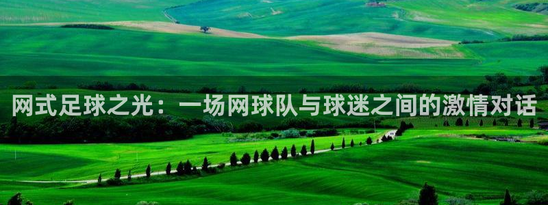 网式足球之光：一场网球队与球迷之间的激情对话