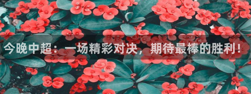 今晚中超：一场精彩对决，期待最棒的胜利！