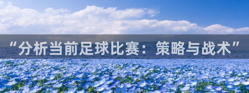  “分析当前足球比赛：策略与战术”