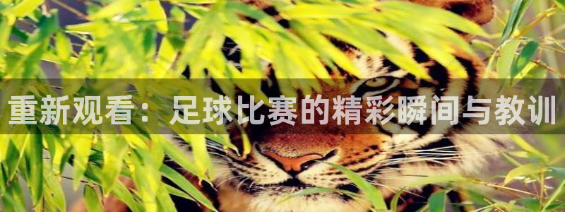 重新观看：足球比赛的精彩瞬间与教训