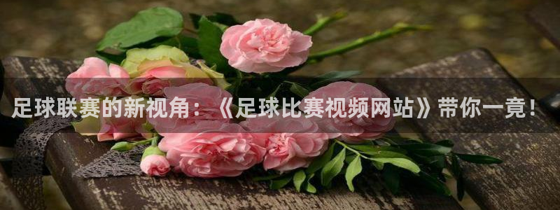 足球联赛的新视角：《足球比赛视频网站