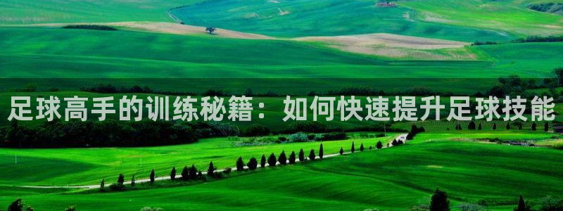 足球高手的训练秘籍：如何快速提升足球