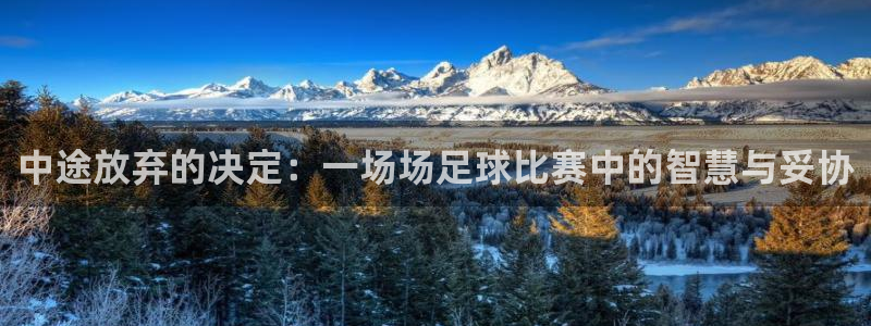 中途放弃的决定：一场场足球比赛中的智