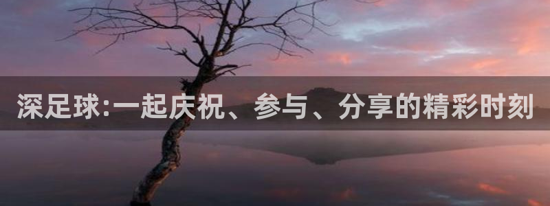 深足球:一起庆祝、参与、分享的精彩时