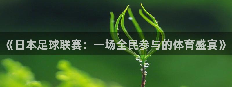 《日本足球联赛：一场全民参与的体育盛