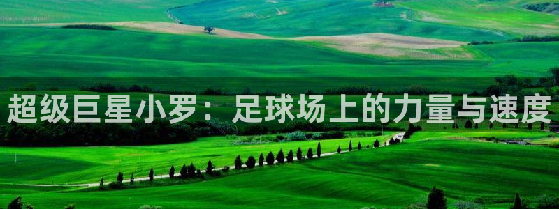 超级巨星小罗：足球场上的力量与速度