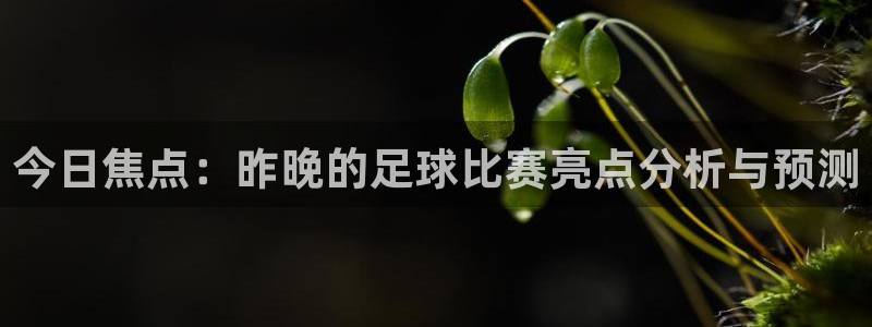 今日焦点：昨晚的足球比赛亮点分析与预
